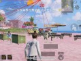 和平精英外挂《拳击手》11日更新1.6版本